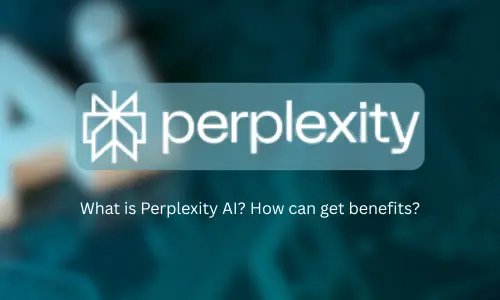 Perplexity Guide