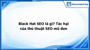 Black Hat SEO